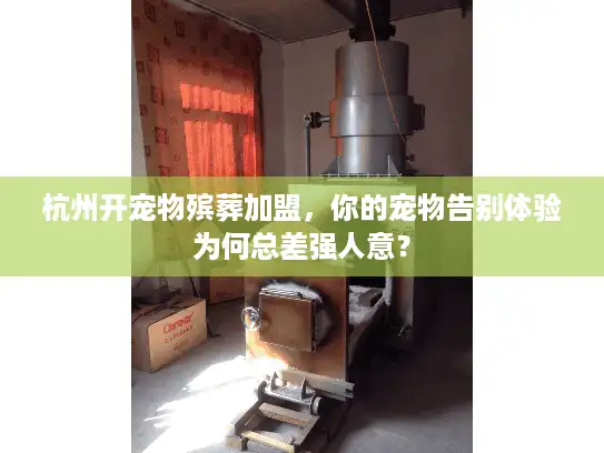 杭州开宠物殡葬加盟，你的宠物告别体验为何总差强人意？