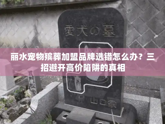 丽水宠物殡葬加盟品牌选错怎么办？三招避开高价陷阱的真相