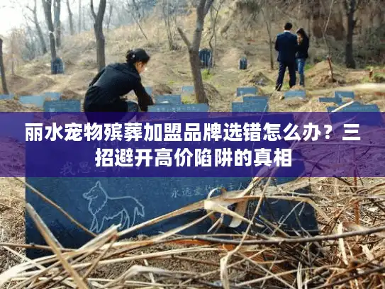 丽水宠物殡葬加盟品牌选错怎么办？三招避开高价陷阱的真相
