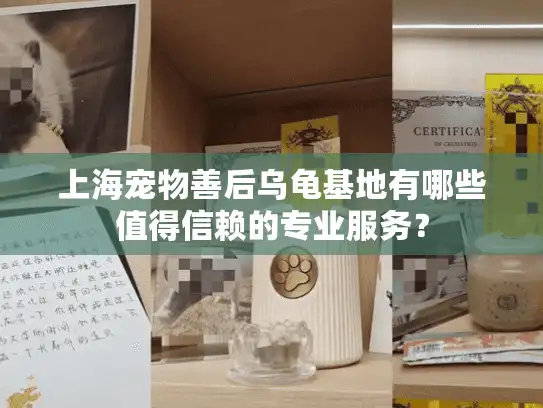 上海宠物善后乌龟基地有哪些值得信赖的专业服务？