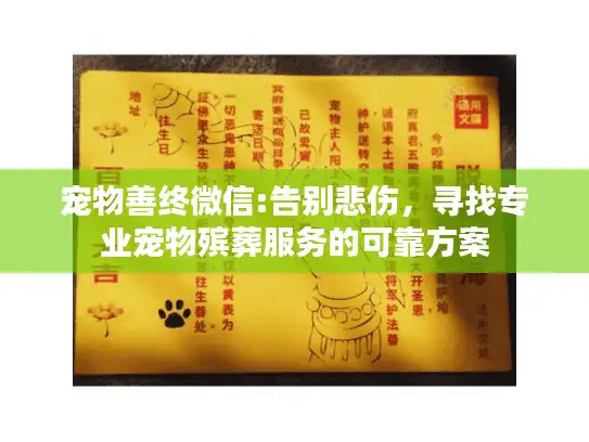 宠物善终微信:告别悲伤，寻找专业宠物殡葬服务的可靠方案