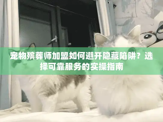宠物殡葬师加盟如何避开隐藏陷阱？选择可靠服务的实操指南
