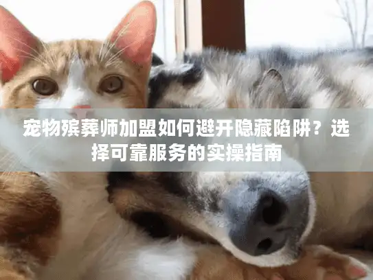 宠物殡葬师加盟如何避开隐藏陷阱？选择可靠服务的实操指南