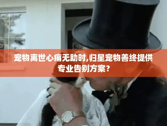宠物离世心痛无助时,归星宠物善终提供专业告别方案？