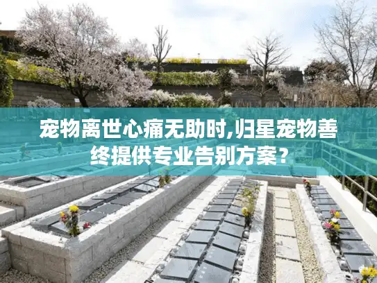 宠物离世心痛无助时,归星宠物善终提供专业告别方案？