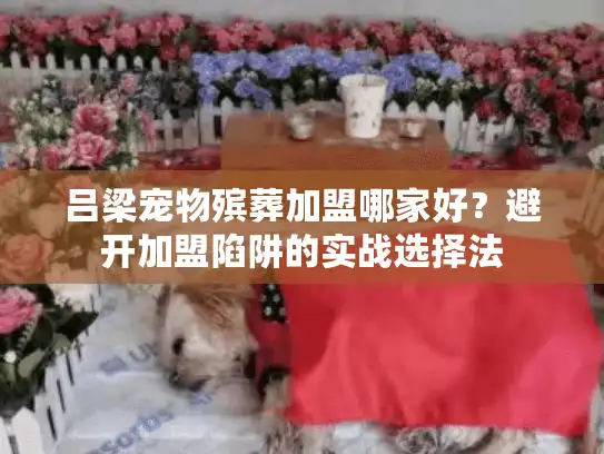 吕梁宠物殡葬加盟哪家好？避开加盟陷阱的实战选择法
