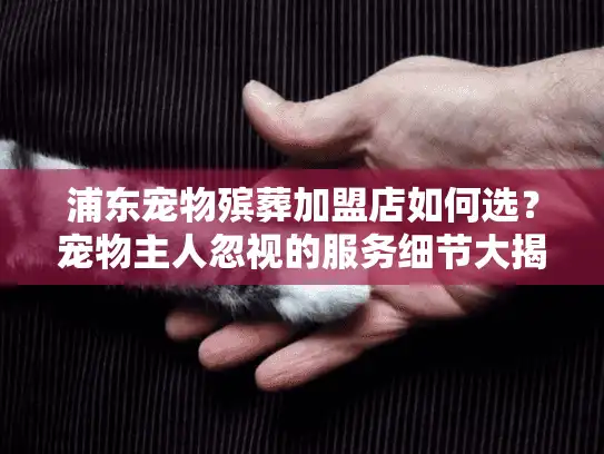 浦东宠物殡葬加盟店如何选？宠物主人忽视的服务细节大揭秘