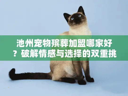 池州宠物殡葬加盟哪家好？破解情感与选择的双重挑战