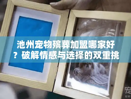 池州宠物殡葬加盟哪家好？破解情感与选择的双重挑战