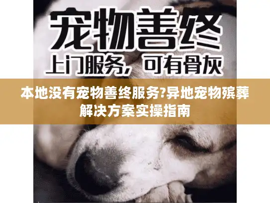 本地没有宠物善终服务?异地宠物殡葬解决方案实操指南