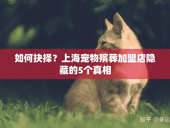 如何抉择？上海宠物殡葬加盟店隐藏的5个真相