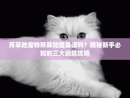 芳草地宠物殡葬加盟靠谱吗？揭秘新手必知的三大避坑攻略