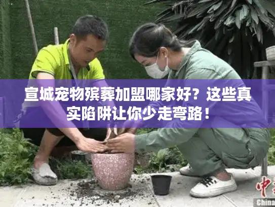 宣城宠物殡葬加盟哪家好？这些真实陷阱让你少走弯路！