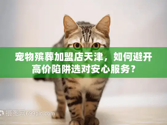 宠物殡葬加盟店天津，如何避开高价陷阱选对安心服务？