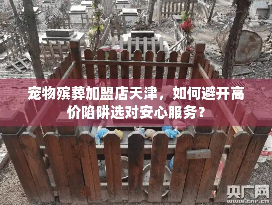 宠物殡葬加盟店天津，如何避开高价陷阱选对安心服务？