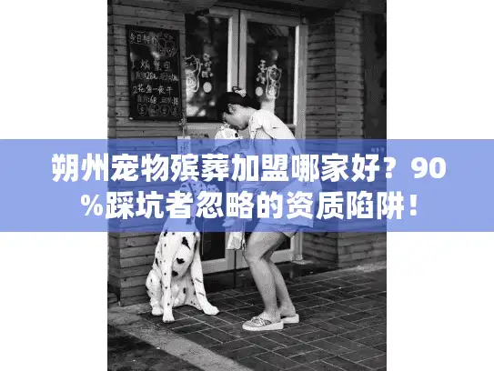 朔州宠物殡葬加盟哪家好？90%踩坑者忽略的资质陷阱！