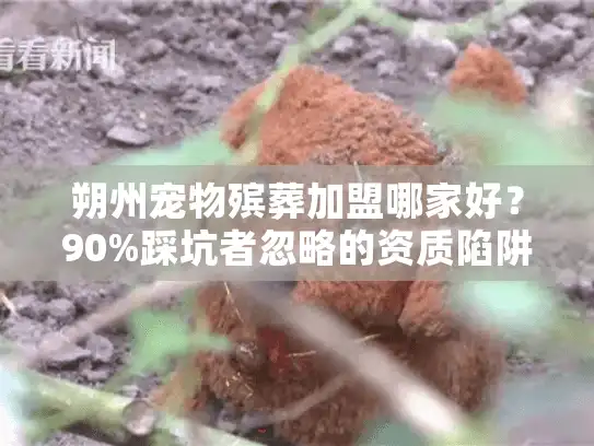 朔州宠物殡葬加盟哪家好？90%踩坑者忽略的资质陷阱！