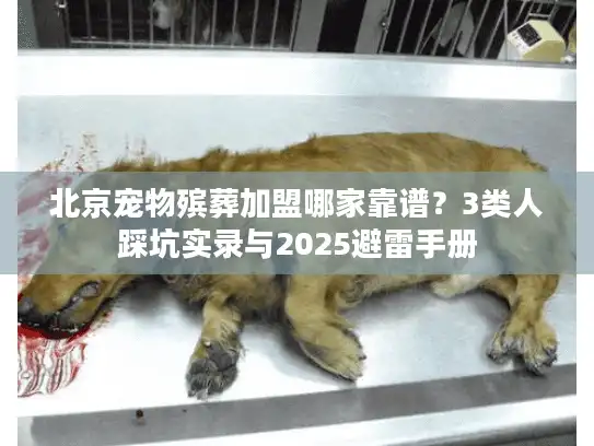 北京宠物殡葬加盟哪家靠谱？3类人踩坑实录与2025避雷手册