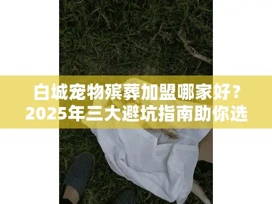 白城宠物殡葬加盟哪家好？2025年三大避坑指南助你选对品牌