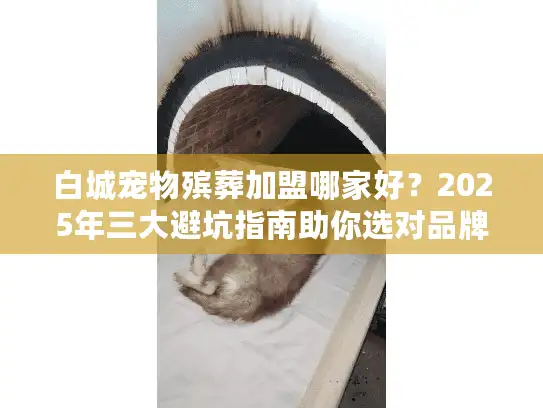 白城宠物殡葬加盟哪家好？2025年三大避坑指南助你选对品牌