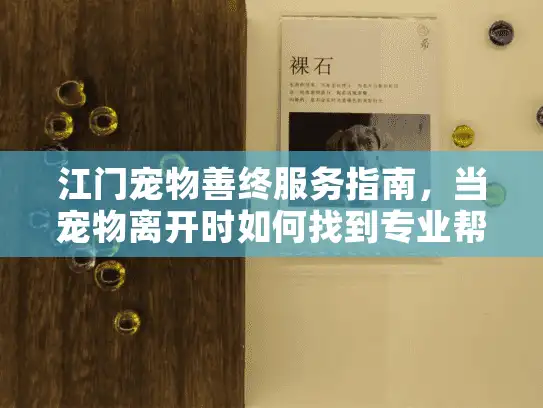 江门宠物善终服务指南，当宠物离开时如何找到专业帮助？
