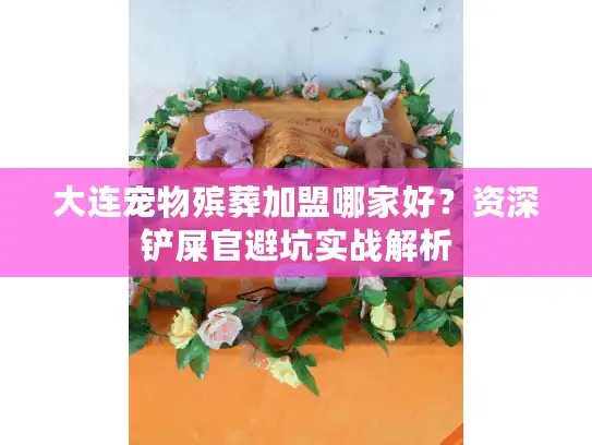 大连宠物殡葬加盟哪家好？资深铲屎官避坑实战解析