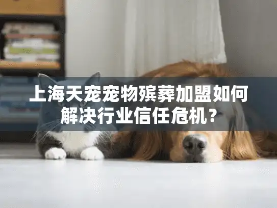 上海天宠宠物殡葬加盟如何解决行业信任危机？