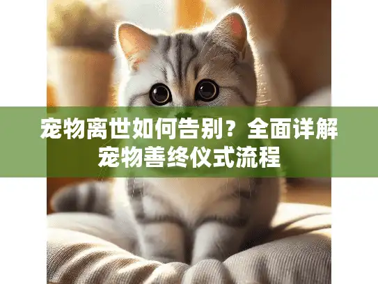宠物离世如何告别？全面详解宠物善终仪式流程