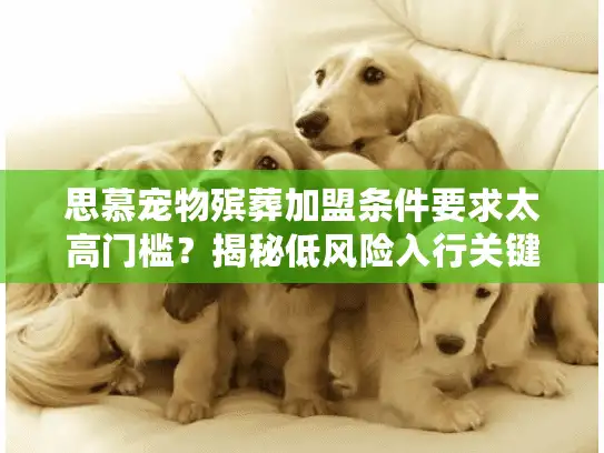 思慕宠物殡葬加盟条件要求太高门槛？揭秘低风险入行关键策略