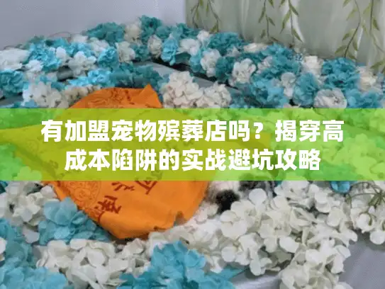 有加盟宠物殡葬店吗？揭穿高成本陷阱的实战避坑攻略