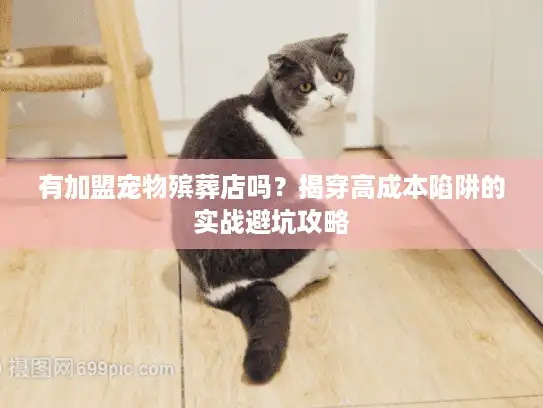 有加盟宠物殡葬店吗？揭穿高成本陷阱的实战避坑攻略