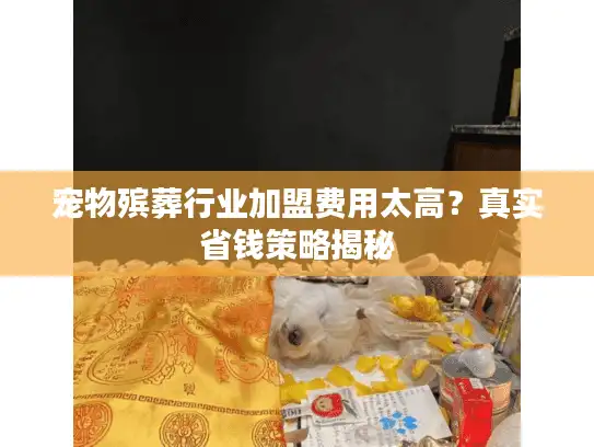 宠物殡葬行业加盟费用太高？真实省钱策略揭秘