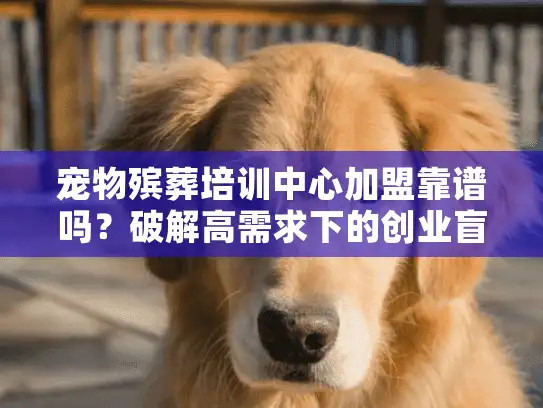 宠物殡葬培训中心加盟靠谱吗？破解高需求下的创业盲点