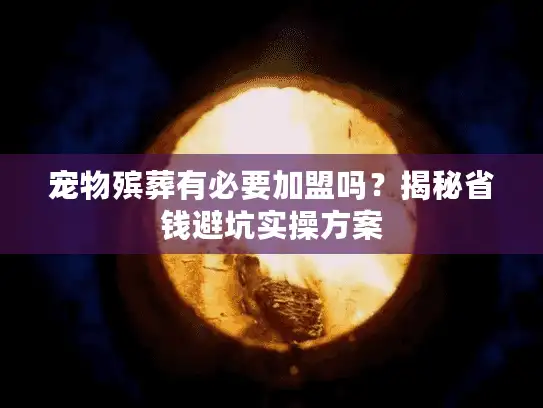 宠物殡葬有必要加盟吗？揭秘省钱避坑实操方案