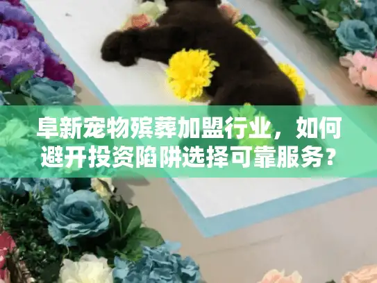 阜新宠物殡葬加盟行业，如何避开投资陷阱选择可靠服务？