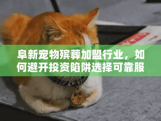 阜新宠物殡葬加盟行业，如何避开投资陷阱选择可靠服务？