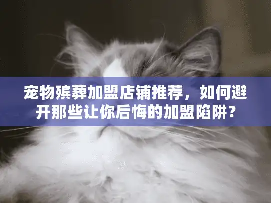 宠物殡葬加盟店铺推荐，如何避开那些让你后悔的加盟陷阱？