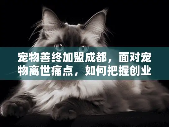宠物善终加盟成都，面对宠物离世痛点，如何把握创业新机遇？