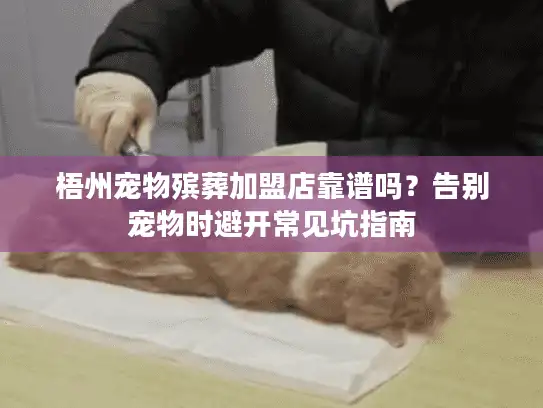 梧州宠物殡葬加盟店靠谱吗？告别宠物时避开常见坑指南