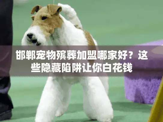 邯郸宠物殡葬加盟哪家好？这些隐藏陷阱让你白花钱