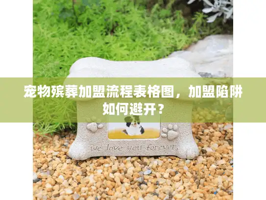 宠物殡葬加盟流程表格图，加盟陷阱如何避开？