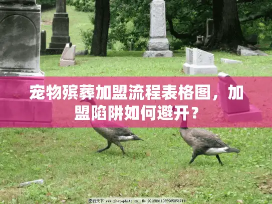 宠物殡葬加盟流程表格图，加盟陷阱如何避开？