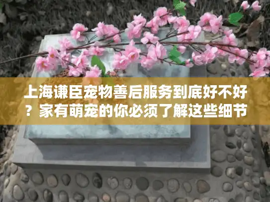 上海谦臣宠物善后服务到底好不好？家有萌宠的你必须了解这些细节！