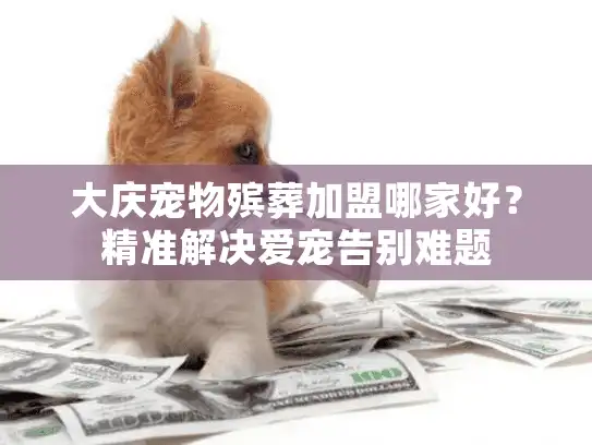 大庆宠物殡葬加盟哪家好？精准解决爱宠告别难题