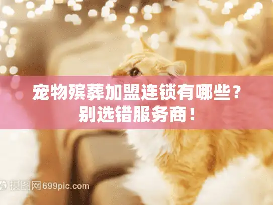 宠物殡葬加盟连锁有哪些？别选错服务商！