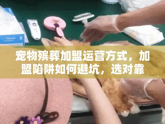 宠物殡葬加盟运营方式，加盟陷阱如何避坑，选对靠谱品牌？