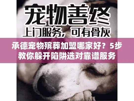 承德宠物殡葬加盟哪家好？5步教你躲开陷阱选对靠谱服务