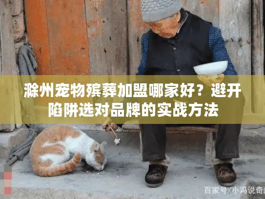 滁州宠物殡葬加盟哪家好？避开陷阱选对品牌的实战方法