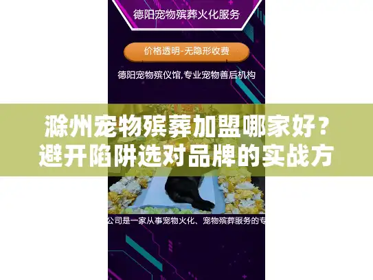 滁州宠物殡葬加盟哪家好？避开陷阱选对品牌的实战方法