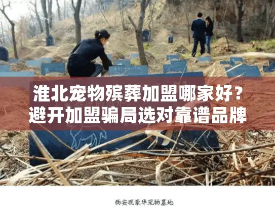 淮北宠物殡葬加盟哪家好？避开加盟骗局选对靠谱品牌的方法